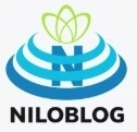 neynileadslog